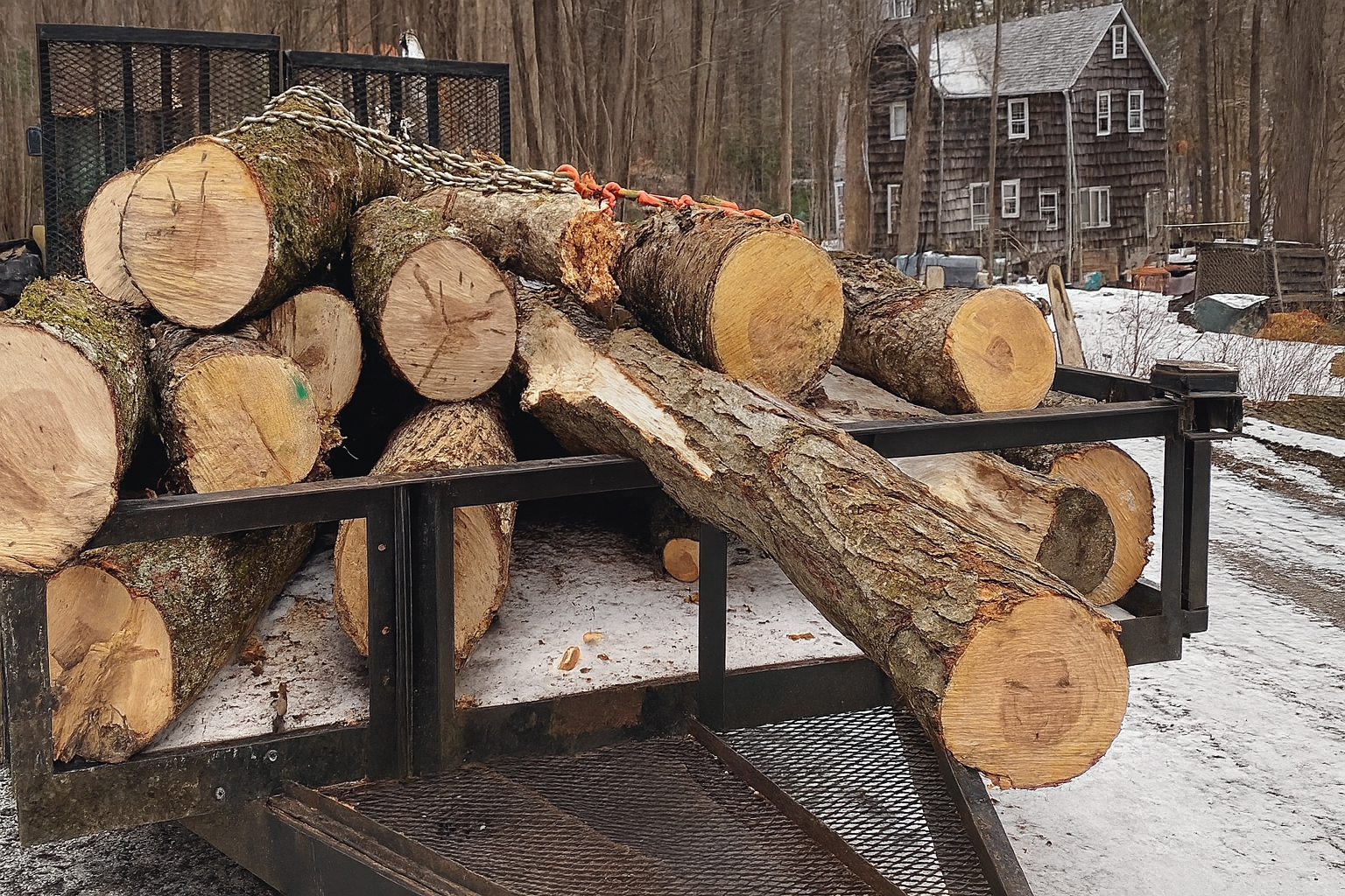 Cut logs and tree sections from professional branch removal service