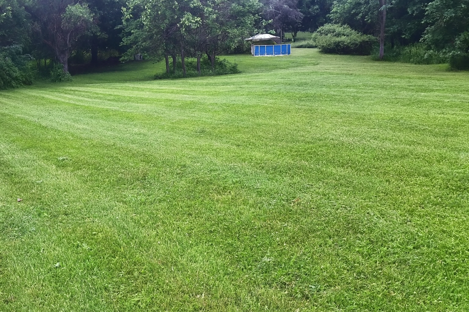 Beautifully maintained lawn with professional mowing patterns